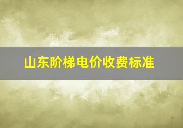 山东阶梯电价收费标准