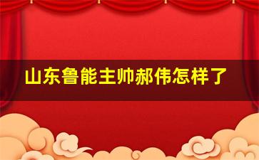 山东鲁能主帅郝伟怎样了