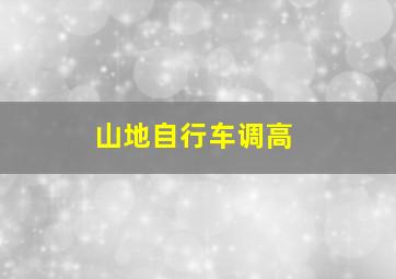 山地自行车调高