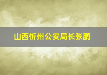 山西忻州公安局长张鹏