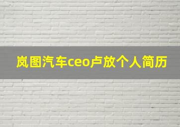 岚图汽车ceo卢放个人简历