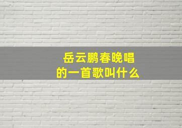 岳云鹏春晚唱的一首歌叫什么