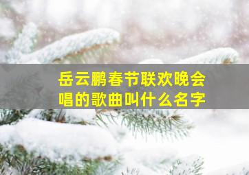 岳云鹏春节联欢晚会唱的歌曲叫什么名字