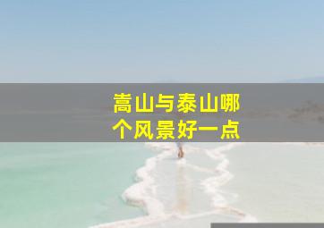 嵩山与泰山哪个风景好一点