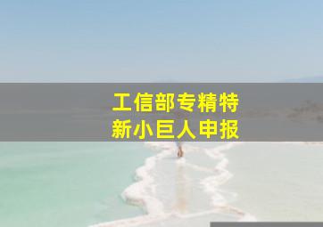 工信部专精特新小巨人申报