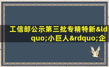 工信部公示第三批专精特新“小巨人”企业名单