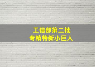 工信部第二批专精特新小巨人