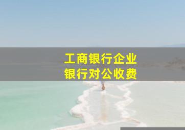 工商银行企业银行对公收费