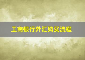 工商银行外汇购买流程