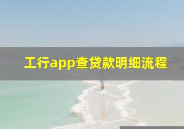 工行app查贷款明细流程