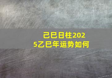 己巳日柱2025乙巳年运势如何