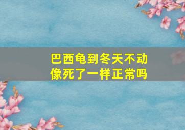 巴西龟到冬天不动像死了一样正常吗