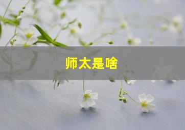 师太是啥