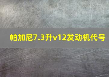 帕加尼7.3升v12发动机代号