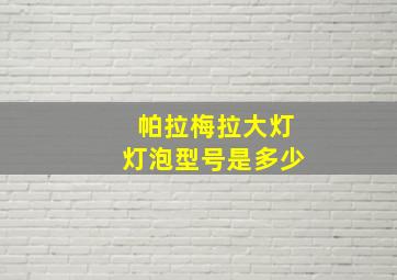 帕拉梅拉大灯灯泡型号是多少