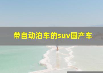 带自动泊车的suv国产车