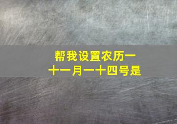 帮我设置农历一十一月一十四号是