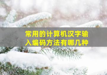 常用的计算机汉字输入编码方法有哪几种