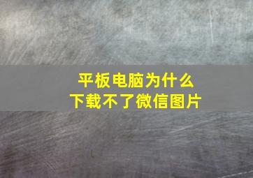 平板电脑为什么下载不了微信图片