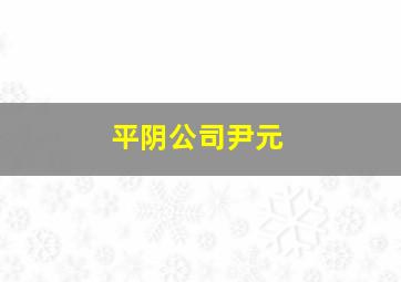 平阴公司尹元