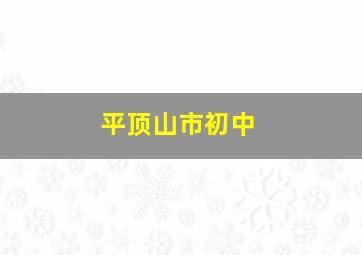 平顶山市初中