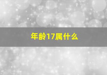 年龄17属什么