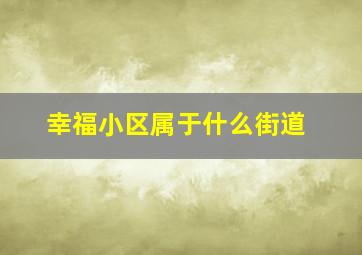 幸福小区属于什么街道