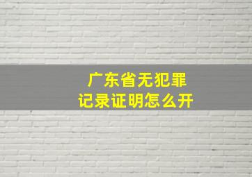 广东省无犯罪记录证明怎么开