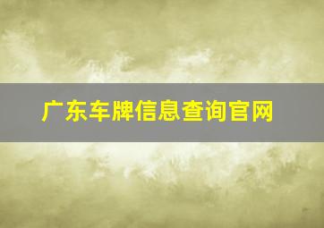 广东车牌信息查询官网