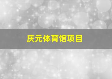 庆元体育馆项目