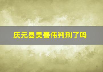 庆元县吴善伟判刑了吗