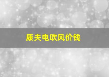 康夫电吹风价钱