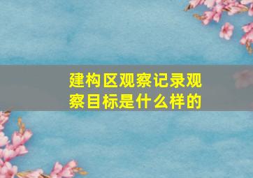 建构区观察记录观察目标是什么样的