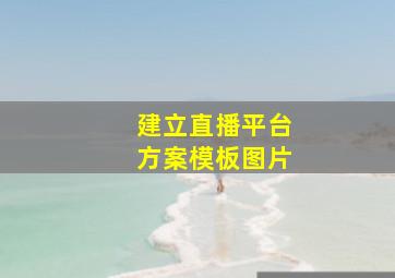 建立直播平台方案模板图片