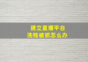 建立直播平台洗钱被抓怎么办