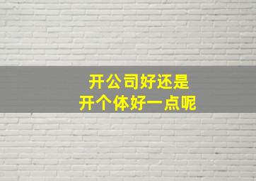 开公司好还是开个体好一点呢