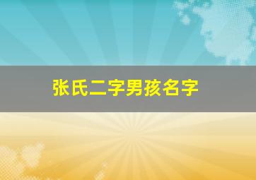 张氏二字男孩名字