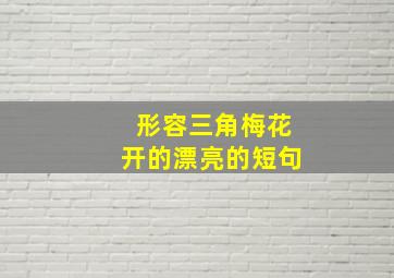 形容三角梅花开的漂亮的短句