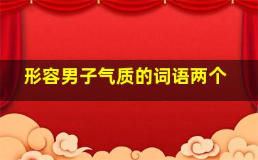 形容男子气质的词语两个