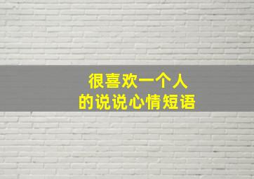 很喜欢一个人的说说心情短语