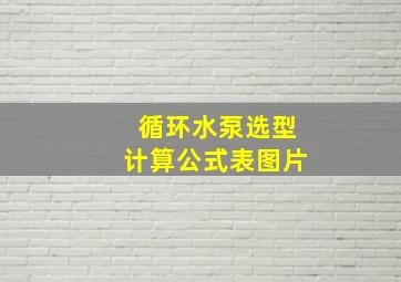 循环水泵选型计算公式表图片