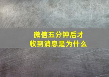 微信五分钟后才收到消息是为什么