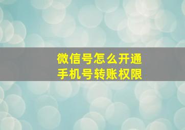 微信号怎么开通手机号转账权限