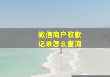 微信商户收款记录怎么查询