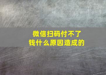 微信扫码付不了钱什么原因造成的