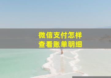 微信支付怎样查看账单明细