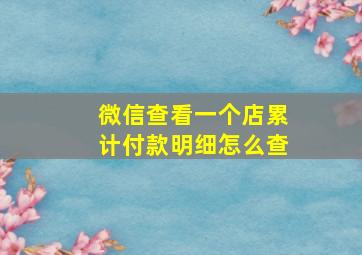 微信查看一个店累计付款明细怎么查