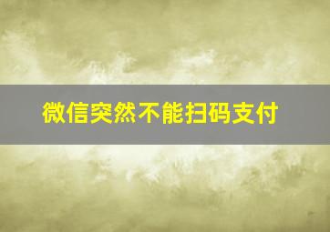 微信突然不能扫码支付