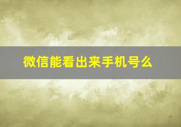 微信能看出来手机号么