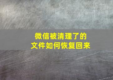 微信被清理了的文件如何恢复回来